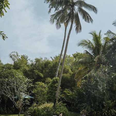 Merchant House Ahangama Buitenkant foto